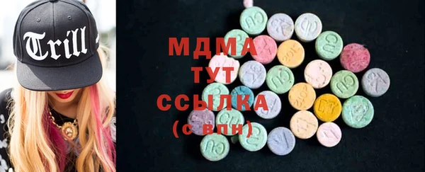 индика Алексин