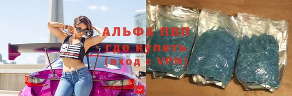 индика Алексин