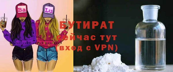 индика Алексин