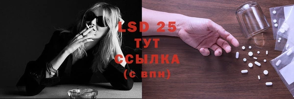 индика Алексин
