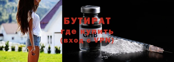 индика Алексин