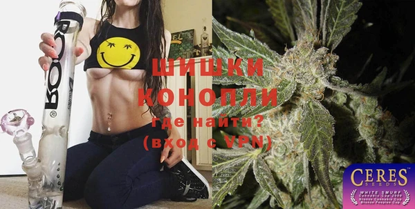 индика Алексин