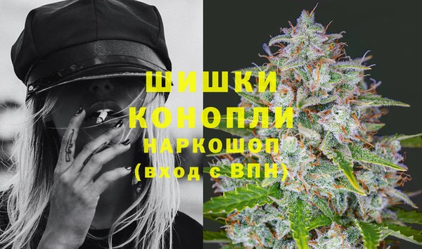 шишки Алзамай